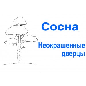 sosna-no-color8